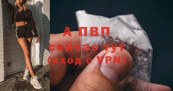 спиды Волоколамск