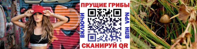 хочу   Ноябрьск  Псилоцибиновые грибы MAGIC MUSHROOMS 